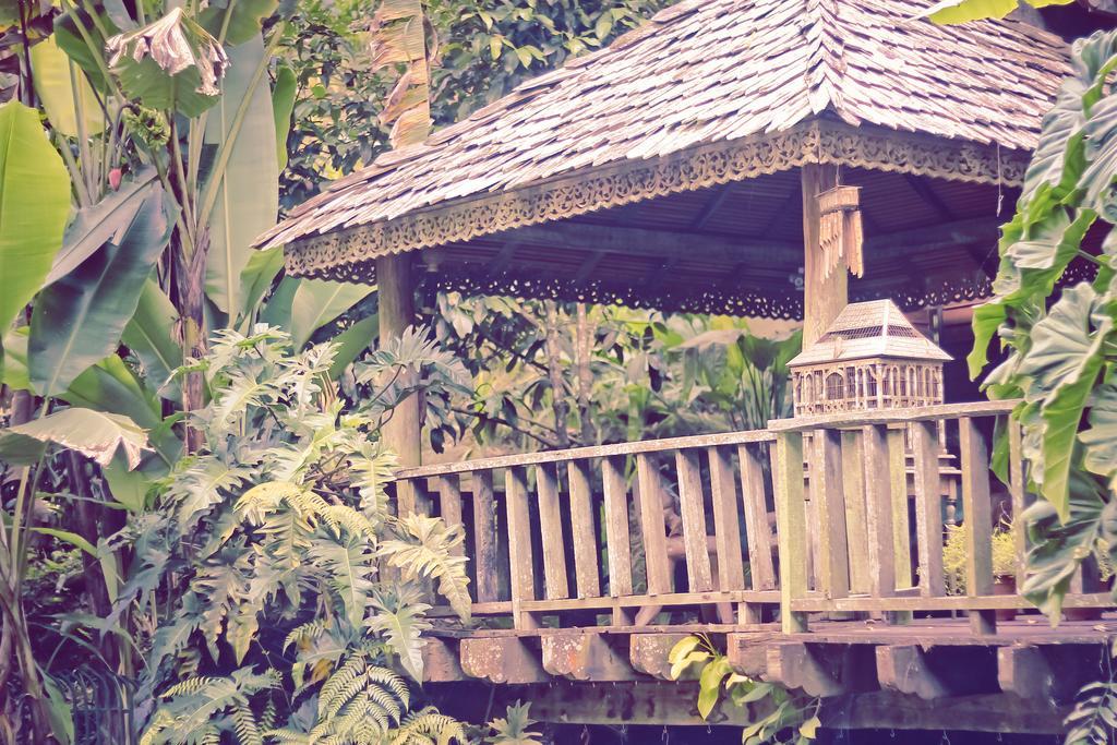 Fig Tree Hills Resort Bayan Lepas Exterior foto